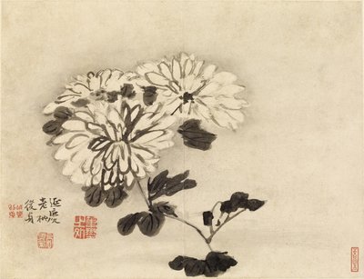 Chrysanthemen von Gao Qipei